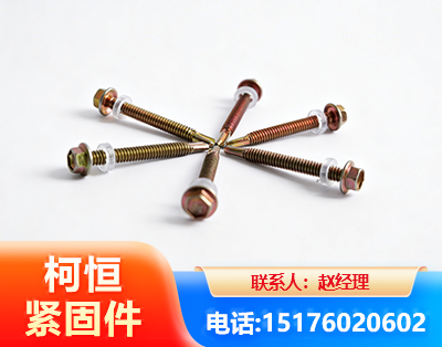 宁德六角钻尾丝